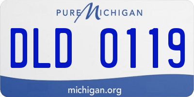 MI license plate DLD0119
