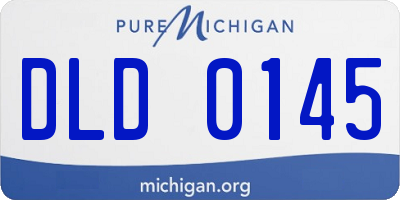 MI license plate DLD0145