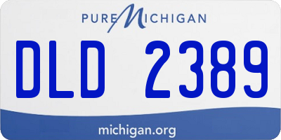 MI license plate DLD2389