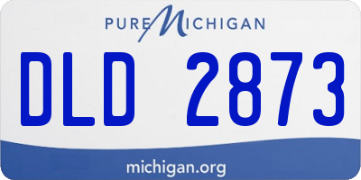 MI license plate DLD2873