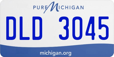 MI license plate DLD3045
