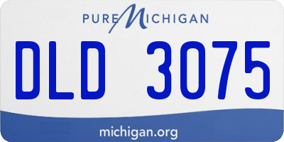 MI license plate DLD3075