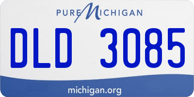 MI license plate DLD3085