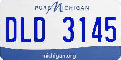 MI license plate DLD3145
