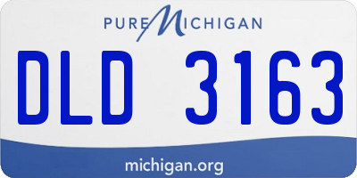 MI license plate DLD3163