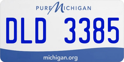 MI license plate DLD3385