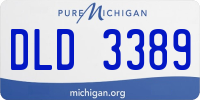MI license plate DLD3389