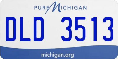 MI license plate DLD3513