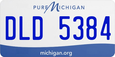 MI license plate DLD5384