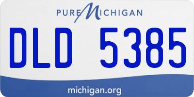 MI license plate DLD5385