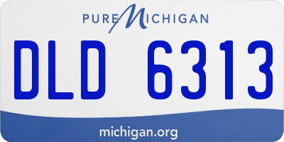 MI license plate DLD6313