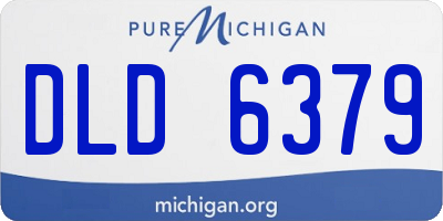 MI license plate DLD6379