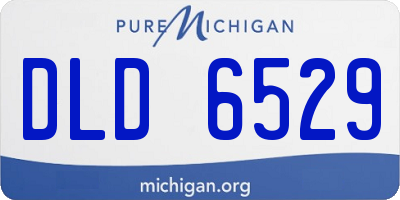 MI license plate DLD6529