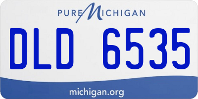 MI license plate DLD6535
