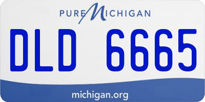 MI license plate DLD6665