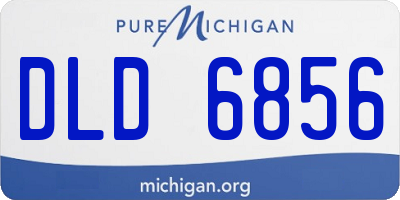 MI license plate DLD6856