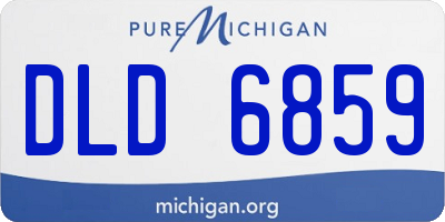 MI license plate DLD6859