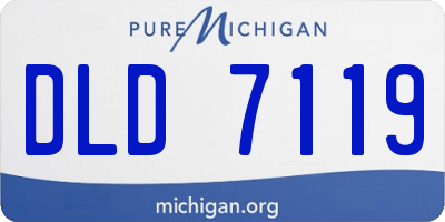 MI license plate DLD7119
