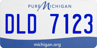 MI license plate DLD7123