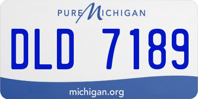 MI license plate DLD7189