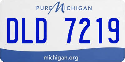 MI license plate DLD7219