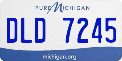 MI license plate DLD7245