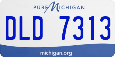 MI license plate DLD7313