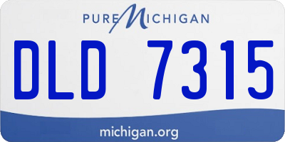 MI license plate DLD7315