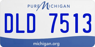 MI license plate DLD7513