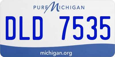 MI license plate DLD7535