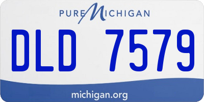 MI license plate DLD7579