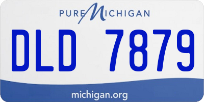 MI license plate DLD7879