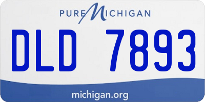 MI license plate DLD7893