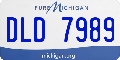 MI license plate DLD7989
