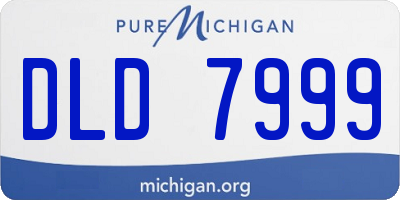 MI license plate DLD7999