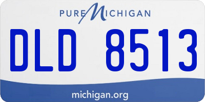 MI license plate DLD8513