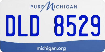 MI license plate DLD8529