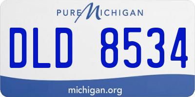 MI license plate DLD8534