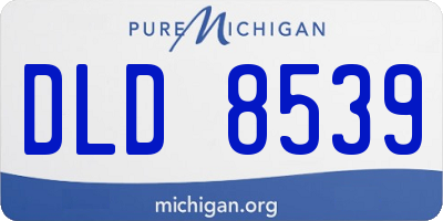MI license plate DLD8539