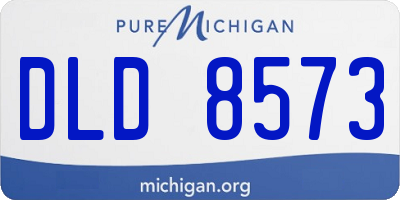 MI license plate DLD8573