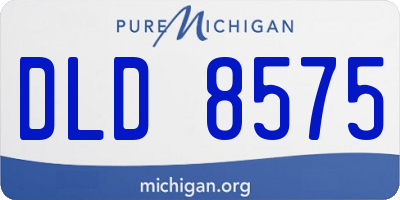 MI license plate DLD8575