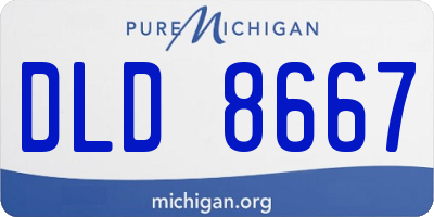 MI license plate DLD8667