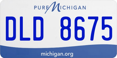 MI license plate DLD8675