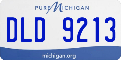MI license plate DLD9213