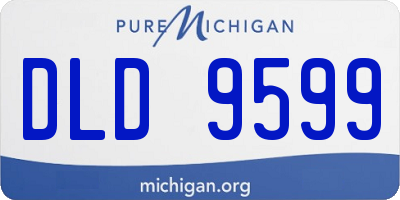 MI license plate DLD9599