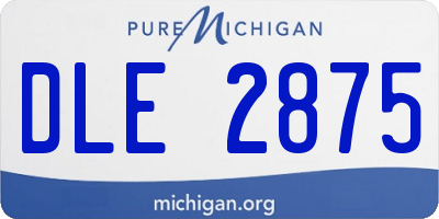 MI license plate DLE2875