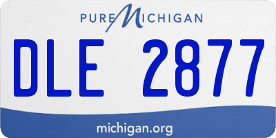MI license plate DLE2877