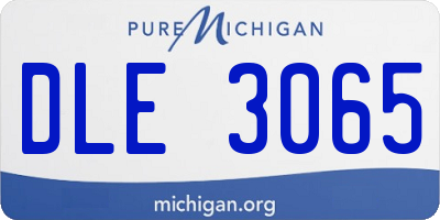 MI license plate DLE3065