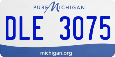 MI license plate DLE3075