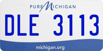 MI license plate DLE3113